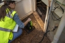 Прожектор светодиодный (2500 лм) аккумуляторный Greenworks гибрид 82V/220-240V G82WLH 3504007, без АКБ и ЗУ