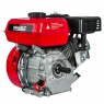 Двигатель бензиновый BRADO N170F(K)