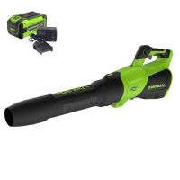 Воздуходувка аккумуляторная Greenworks GD40BG3 40В