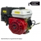 Двигатель бензиновый SKIPER N170FL(SFT)