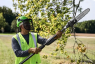 Высоторез аккумуляторный телескопический Greenworks PS102T