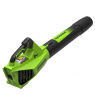 Воздуходувка аккумуляторная Greenworks 24V G24BIII 2409607, без АКБ и ЗУ
