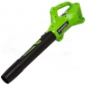 Воздуходувка аккумуляторная GreenWorks G24AB 24В 2404807