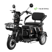 Трицикл электрический AP-H009-24 YAKAMA