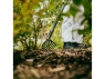 Грабли для уборки клумб OneClick FISKARS (1080676)