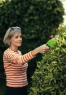 Аккумуляторные садовые ножницы-кусторез GreenWorks G7,2GS 7,2В+ штанга удлинитель