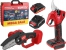 Набор аккум. инструмента WORTEX мини-пила CEC 2518-1 + секатор CBS 2030 SET