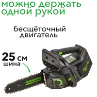 Пила аккумуляторная GreenWorks GD40TCS 40В G-MAX DigiPro