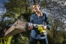Пила сабельная аккумуляторная бесщеточная RYOBI RRS18X-0 (без батареи) система ONE +