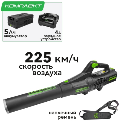 Воздуходувка Greenworks GD82ABIIK5 82V