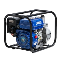 Мотопомпа MIKKELE MWP 700